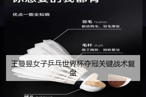 王曼昱女子乒乓世界杯夺冠关键战术复盘